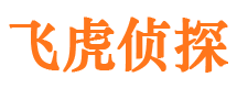 河池飞虎私家侦探公司